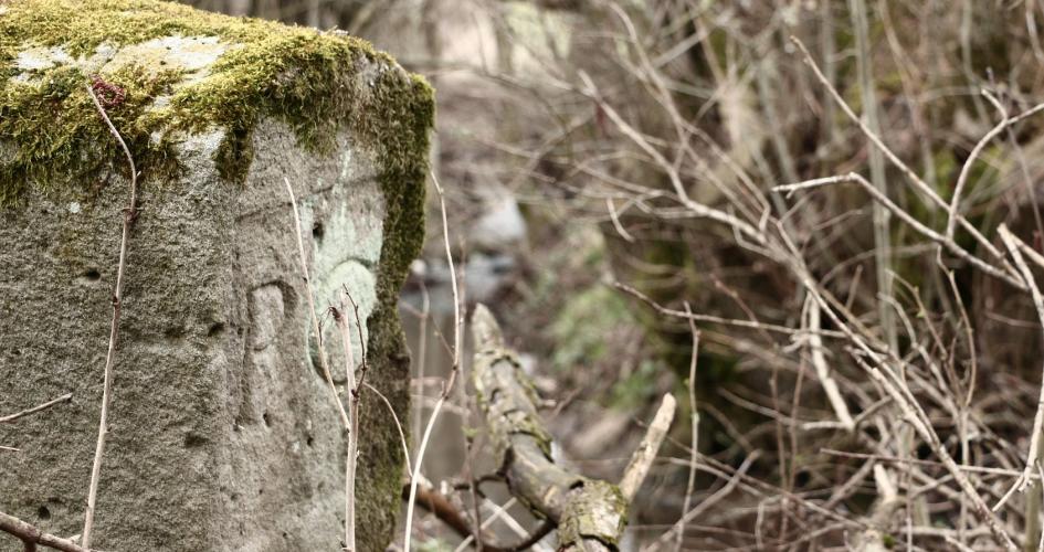 Historische Grenze oder die schönsten Grenzwanderwege ...