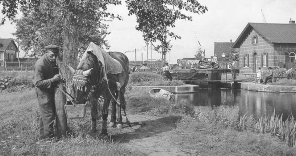 Der Ludwig-Donau-Main-Kanal oder der alte Kanal