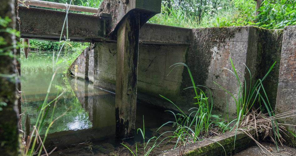 Grundablaß Gspannberg am alten Kanal